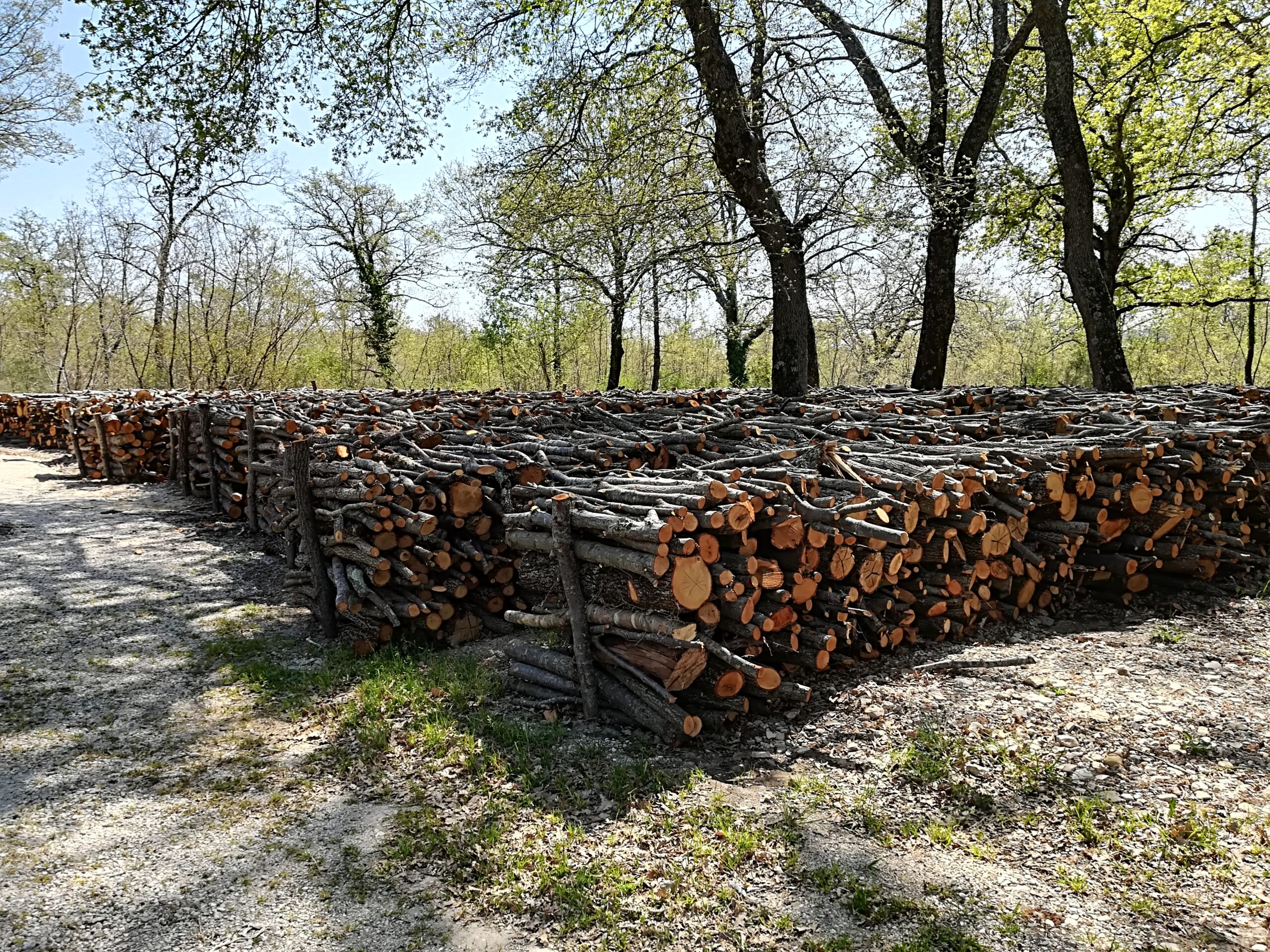 legno 2
